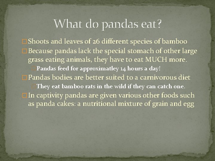 What do pandas eat? � Shoots and leaves of 26 different species of bamboo