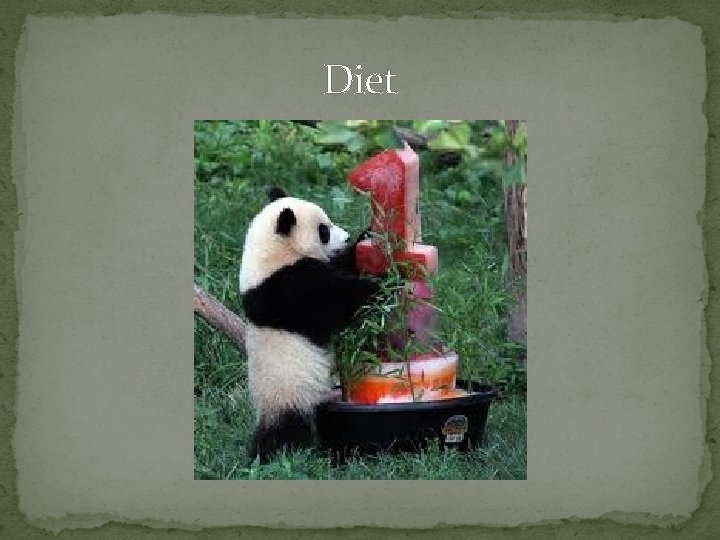 Diet 