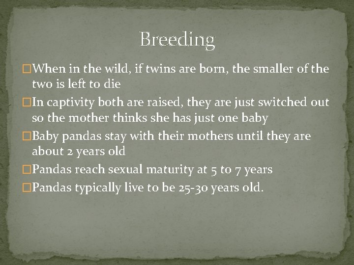 Breeding �When in the wild, if twins are born, the smaller of the two