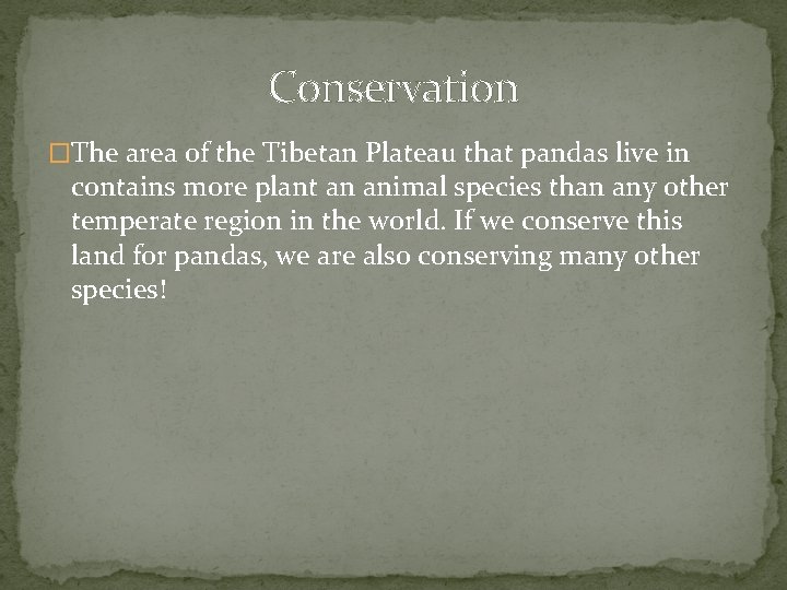 Conservation �The area of the Tibetan Plateau that pandas live in contains more plant