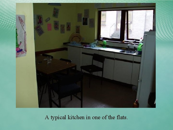 A typical kitchen in one of the flats. 