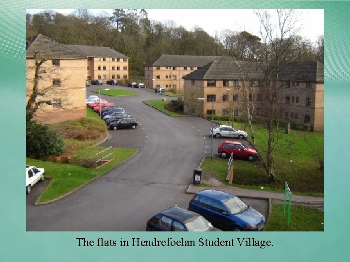 The flats in Hendrefoelan Student Village. 