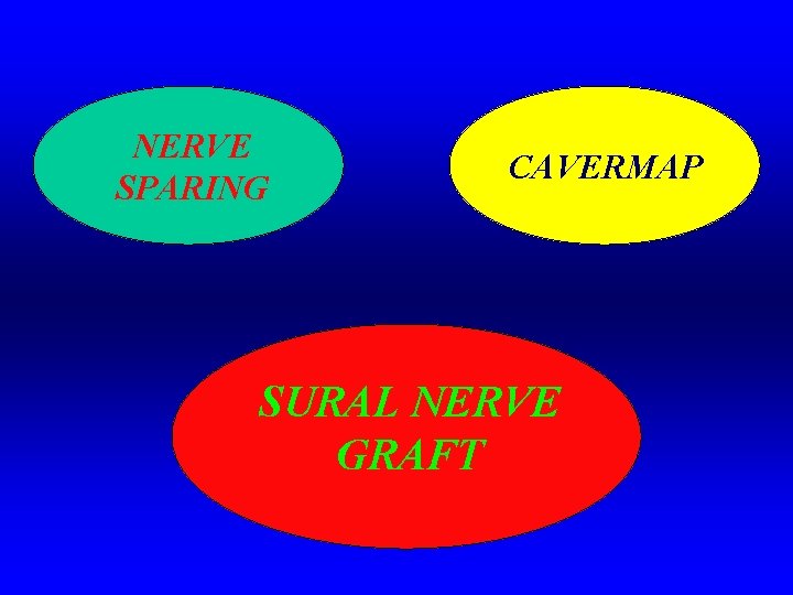 NERVE SPARING CAVERMAP SURAL NERVE GRAFT 