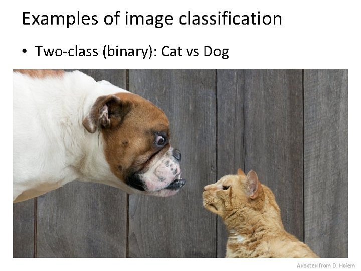 Examples of image classification • Two-class (binary): Cat vs Dog Adapted from D. Hoiem