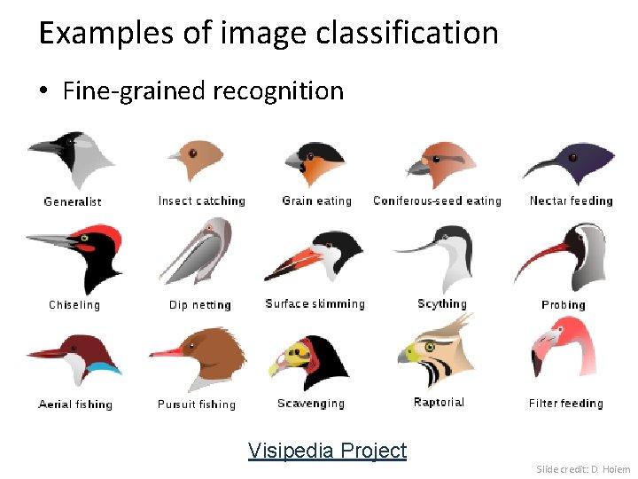 Examples of image classification • Fine-grained recognition Visipedia Project Slide credit: D. Hoiem 