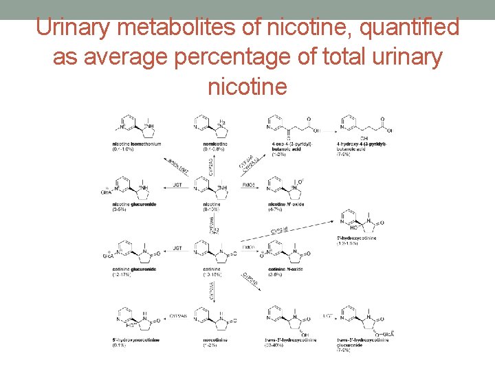 Urinary metabolites of nicotine, quantified as average percentage of total urinary nicotine 