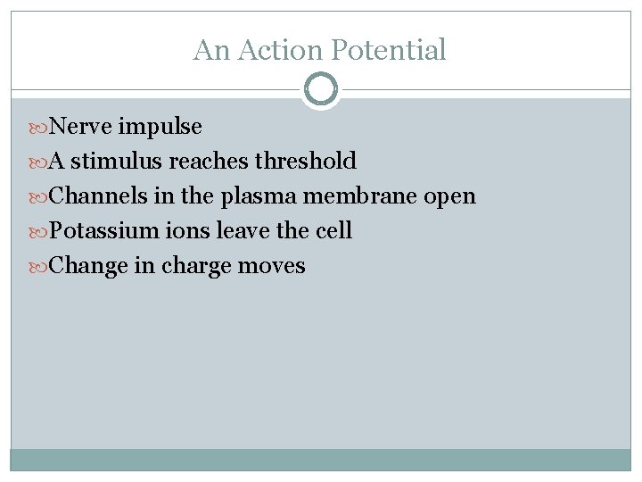 An Action Potential Nerve impulse A stimulus reaches threshold Channels in the plasma membrane