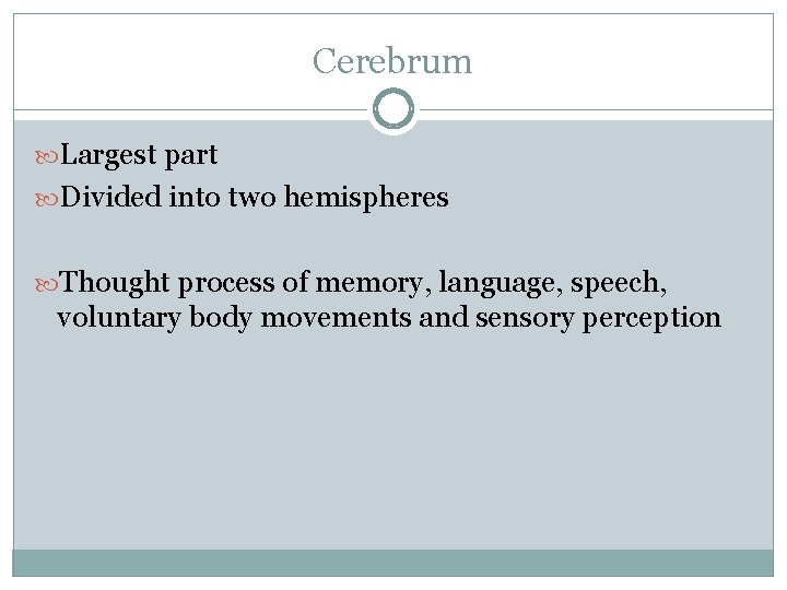 Cerebrum Largest part Divided into two hemispheres Thought process of memory, language, speech, voluntary