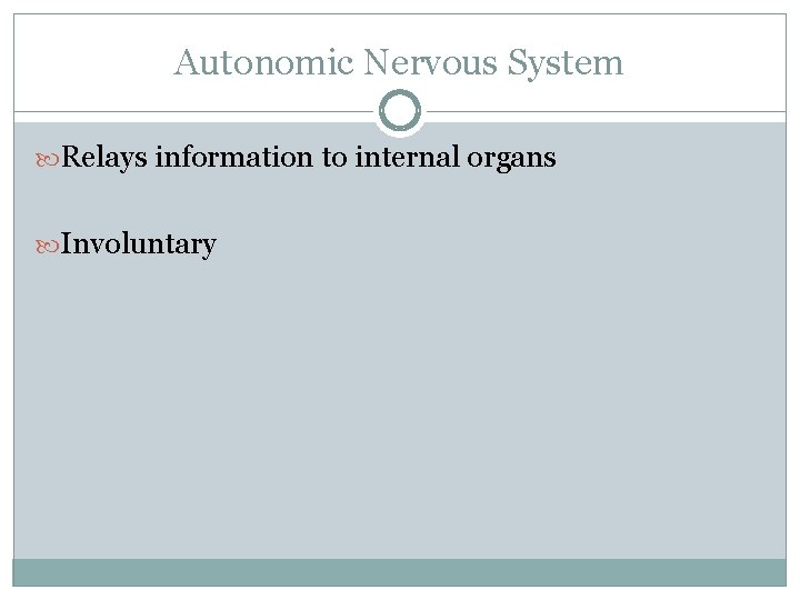 Autonomic Nervous System Relays information to internal organs Involuntary 