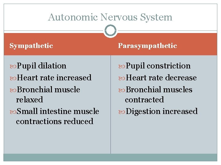 Autonomic Nervous System Sympathetic Parasympathetic Pupil dilation Pupil constriction Heart rate increased Heart rate