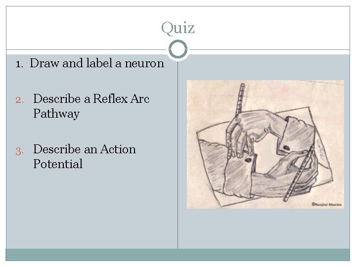 Quiz 1. Draw and label a neuron 2. Describe a Reflex Arc Pathway 3.