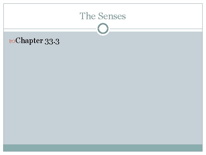 The Senses Chapter 33. 3 