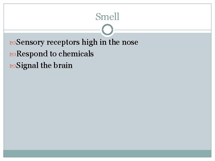 Smell Sensory receptors high in the nose Respond to chemicals Signal the brain 