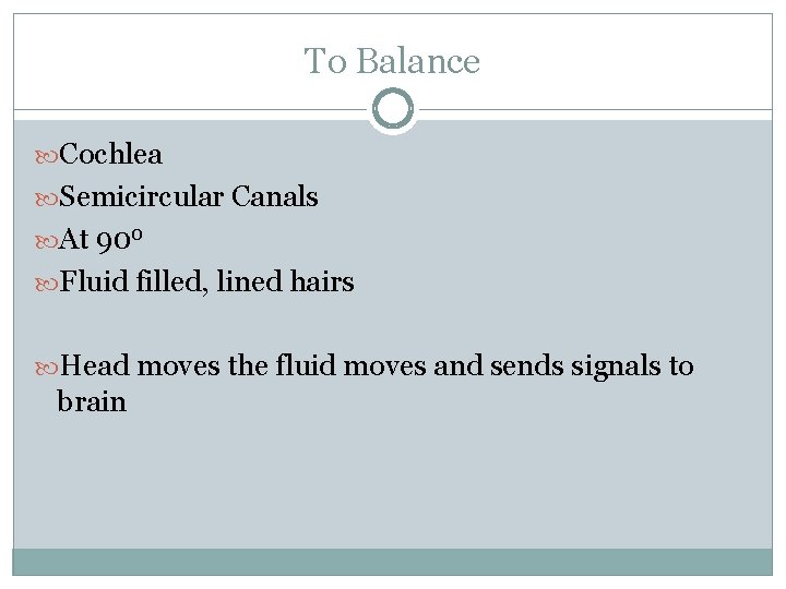 To Balance Cochlea Semicircular Canals At 900 Fluid filled, lined hairs Head moves the