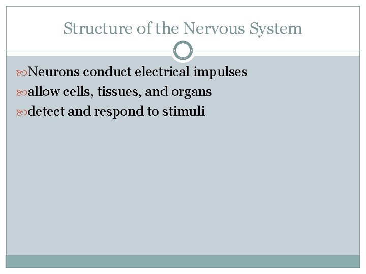 Structure of the Nervous System Neurons conduct electrical impulses allow cells, tissues, and organs