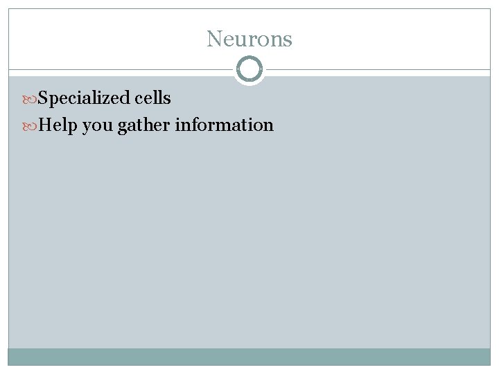 Neurons Specialized cells Help you gather information 