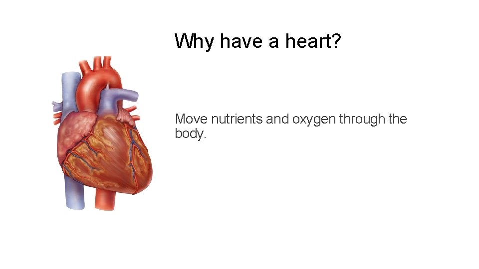 Why have a heart? Move nutrients and oxygen through the body. 