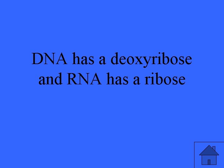DNA has a deoxyribose and RNA has a ribose 11 