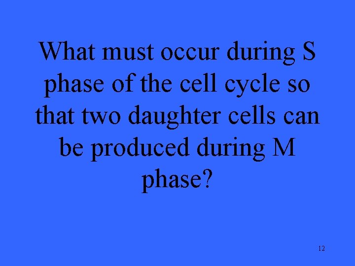 What must occur during S phase of the cell cycle so that two daughter