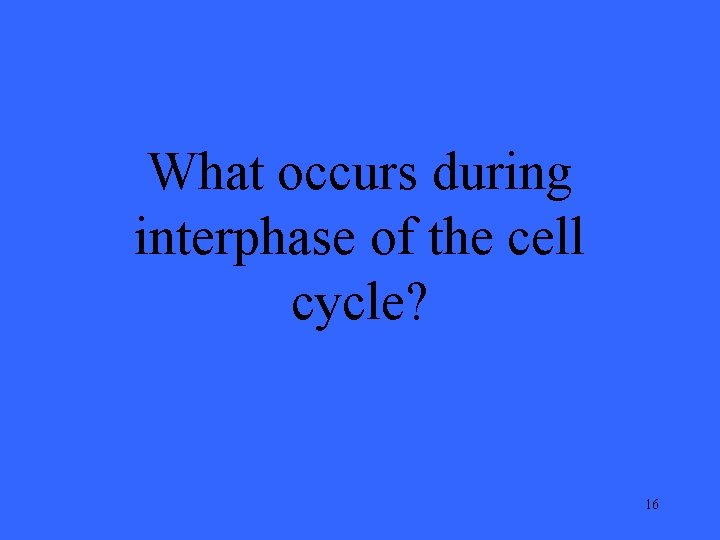 What occurs during interphase of the cell cycle? 16 