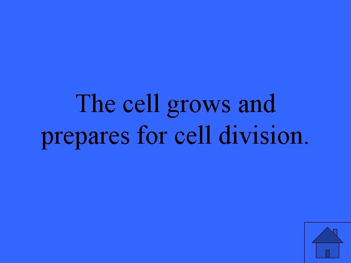 The cell grows and prepares for cell division. 17 