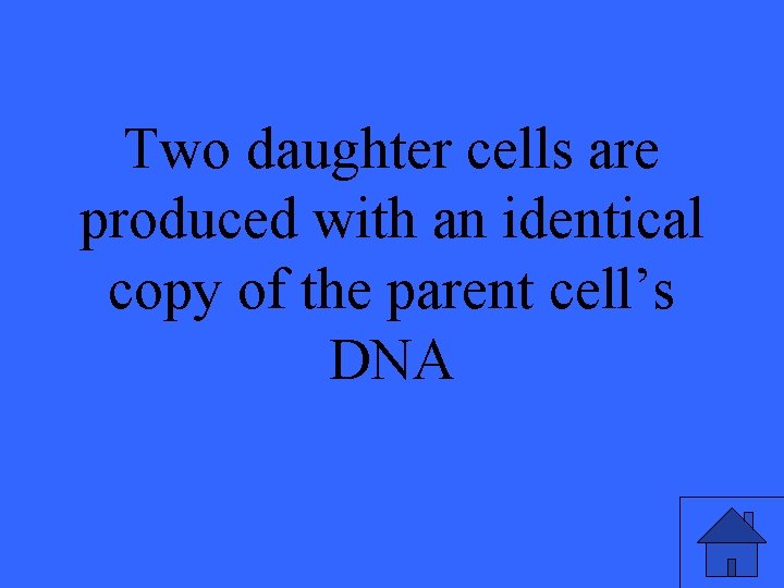 Two daughter cells are produced with an identical copy of the parent cell’s DNA