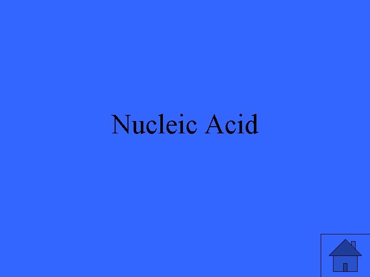 Nucleic Acid 3 