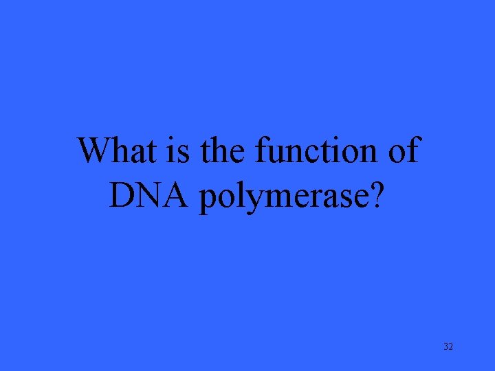 What is the function of DNA polymerase? 32 
