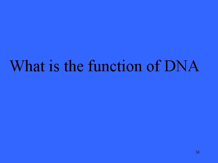 What is the function of DNA 34 