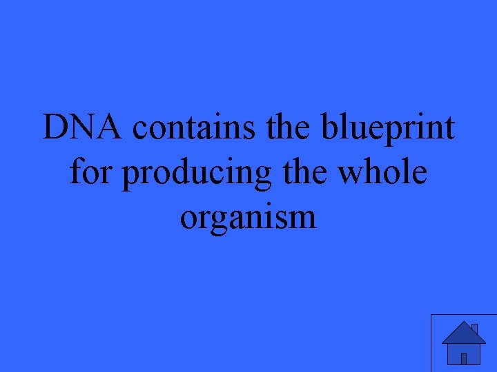 DNA contains the blueprint for producing the whole organism 35 