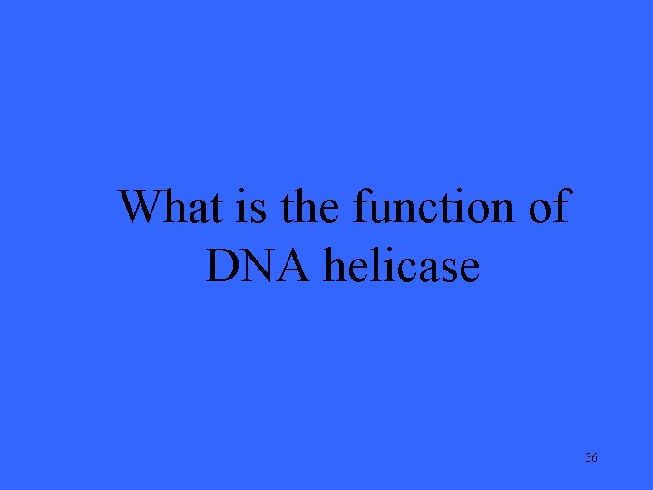 What is the function of DNA helicase 36 