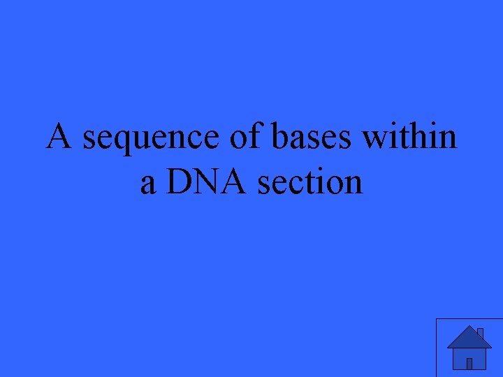 A sequence of bases within a DNA section 39 