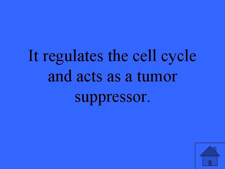 It regulates the cell cycle and acts as a tumor suppressor. 41 