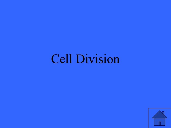 Cell Division 45 