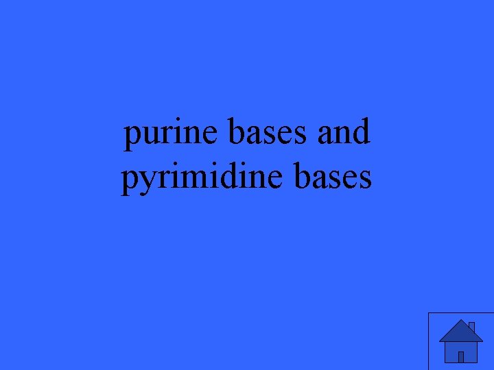 purine bases and pyrimidine bases 5 