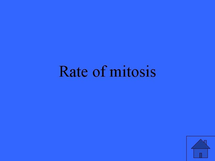 Rate of mitosis 51 