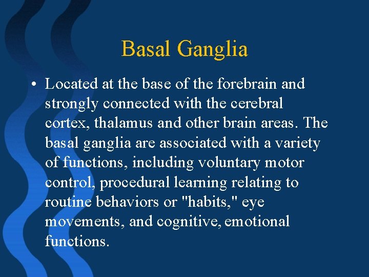 Basal Ganglia • Located at the base of the forebrain and strongly connected with