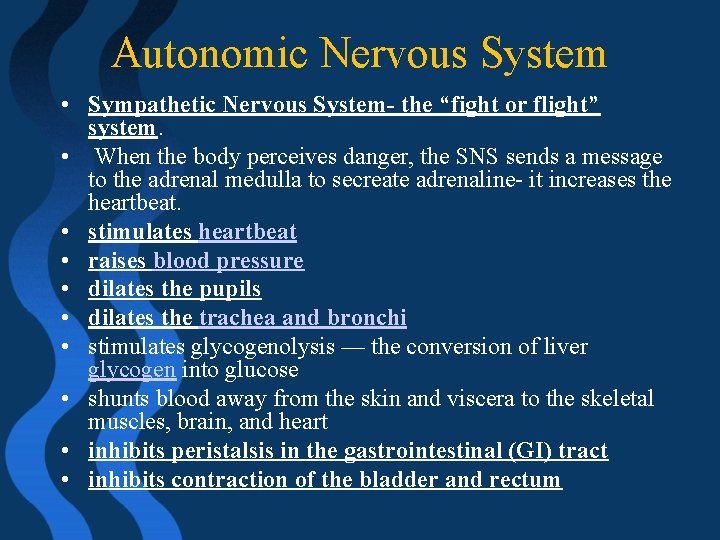 Autonomic Nervous System • Sympathetic Nervous System- the “fight or flight” system. • When