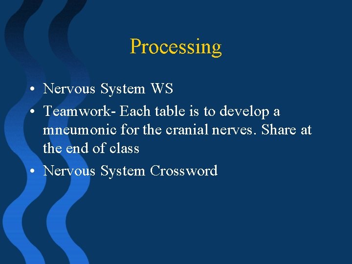 Processing • Nervous System WS • Teamwork- Each table is to develop a mneumonic