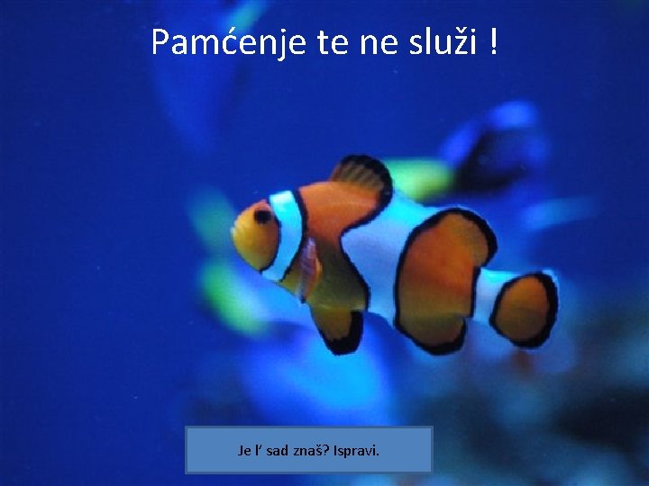 Pamćenje te ne služi ! Je l’ sad znaš? Ispravi. 