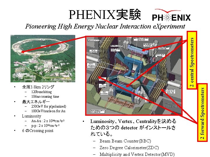 PHENIX実験 全周 3. 8 km 2リング – – • 最大エネルギー – – • 250