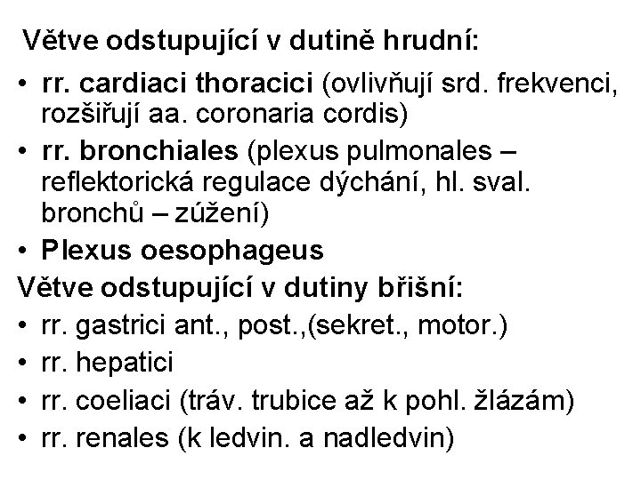 Větve odstupující v dutině hrudní: • rr. cardiaci thoracici (ovlivňují srd. frekvenci, rozšiřují aa.