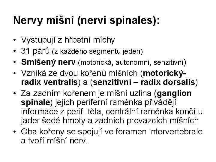 Nervy míšní (nervi spinales): • • Vystupují z hřbetní míchy 31 párů (z každého