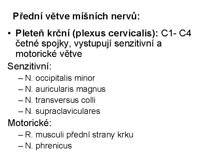 Přední větve míšních nervů: • Pleteň krční (plexus cervicalis): C 1 - C 4