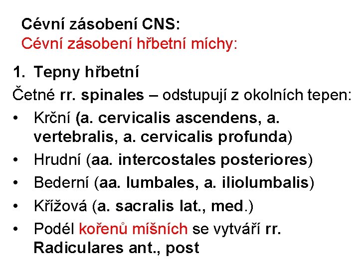 Cévní zásobení CNS: Cévní zásobení hřbetní míchy: 1. Tepny hřbetní Četné rr. spinales –