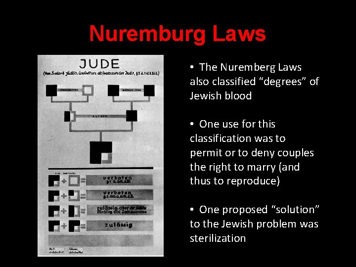 Nuremburg Laws • The Nuremberg Laws also classified “degrees” of Jewish blood • One
