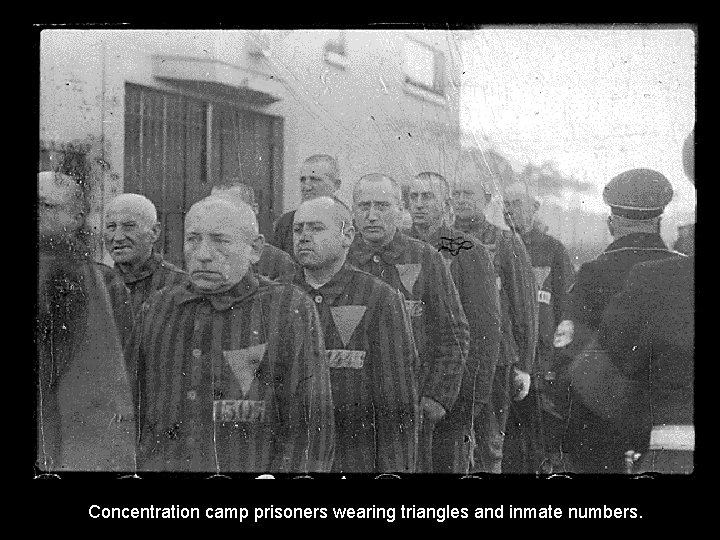 Concentration camp prisoners wearing triangles and inmate numbers. 