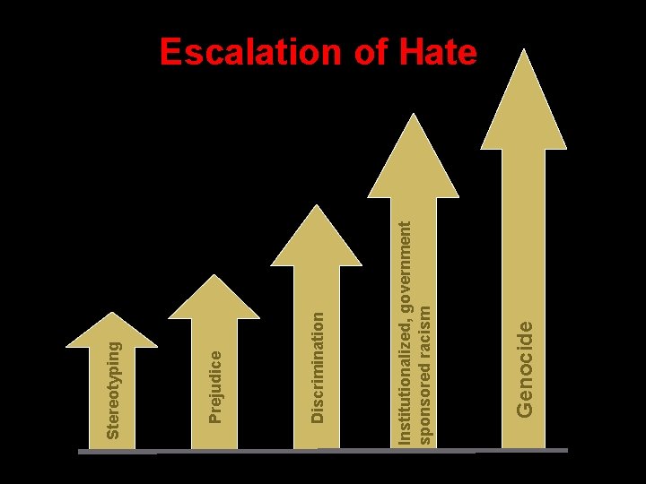 Genocide Institutionalized, government sponsored racism Discrimination Prejudice Stereotyping Escalation of Hate 
