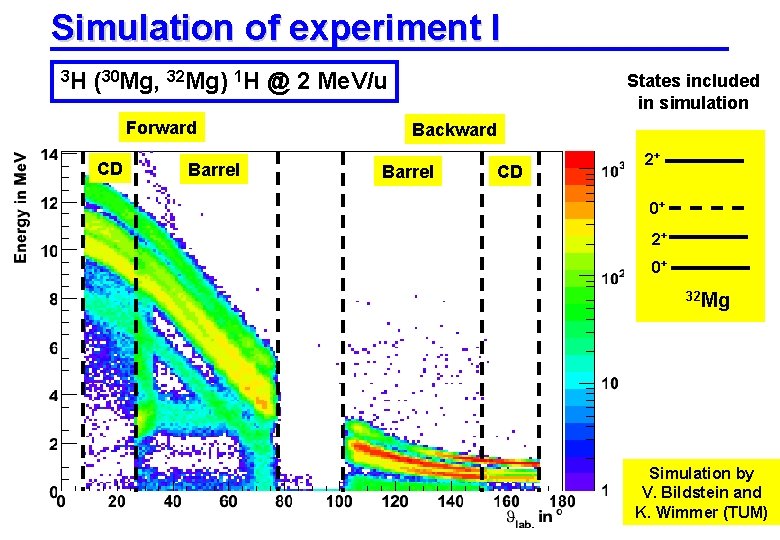 Simulation of experiment I 3 H (30 Mg, 32 Mg) 1 H Forward CD