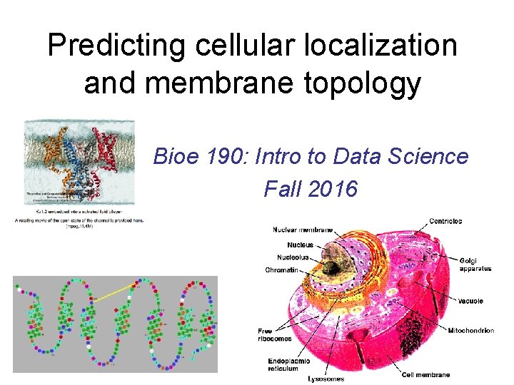Predicting cellular localization and membrane topology Bioe 190: Intro to Data Science Fall 2016